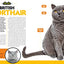 Cat Breed Guide: A complete reference to your purr-fect best friend