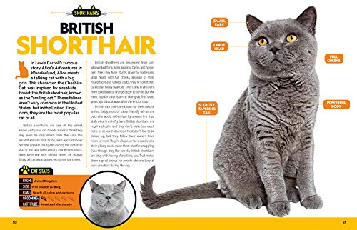 Cat Breed Guide: A complete reference to your purr-fect best friend