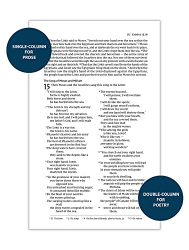 NIV, Thinline Bible, Passaggio Setting, Leathersoft, Brown, Red Letter, Comfort Print: Elegantly uniting single and double columns into one Passaggio Setting Bible design