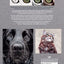 Drawing Animal Portraits in Coloured Pencil