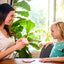 Ready to Learn: K-1 3-Letter Words Flash Cards: Includes 48 Cards to Practice Word Decoding Skills!