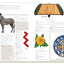 Merriam-Webster Children's Dictionary, New Edition: Features 3,000 Photographs and Illustrations