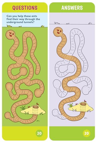 Brain Quest Pre-Kindergarten Smart Cards Revised 5th Edition (Brain Quest Smart Cards)