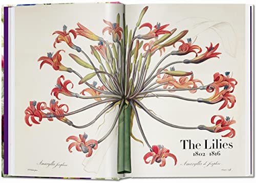 Redouté. Book of Flowers - 40 Years