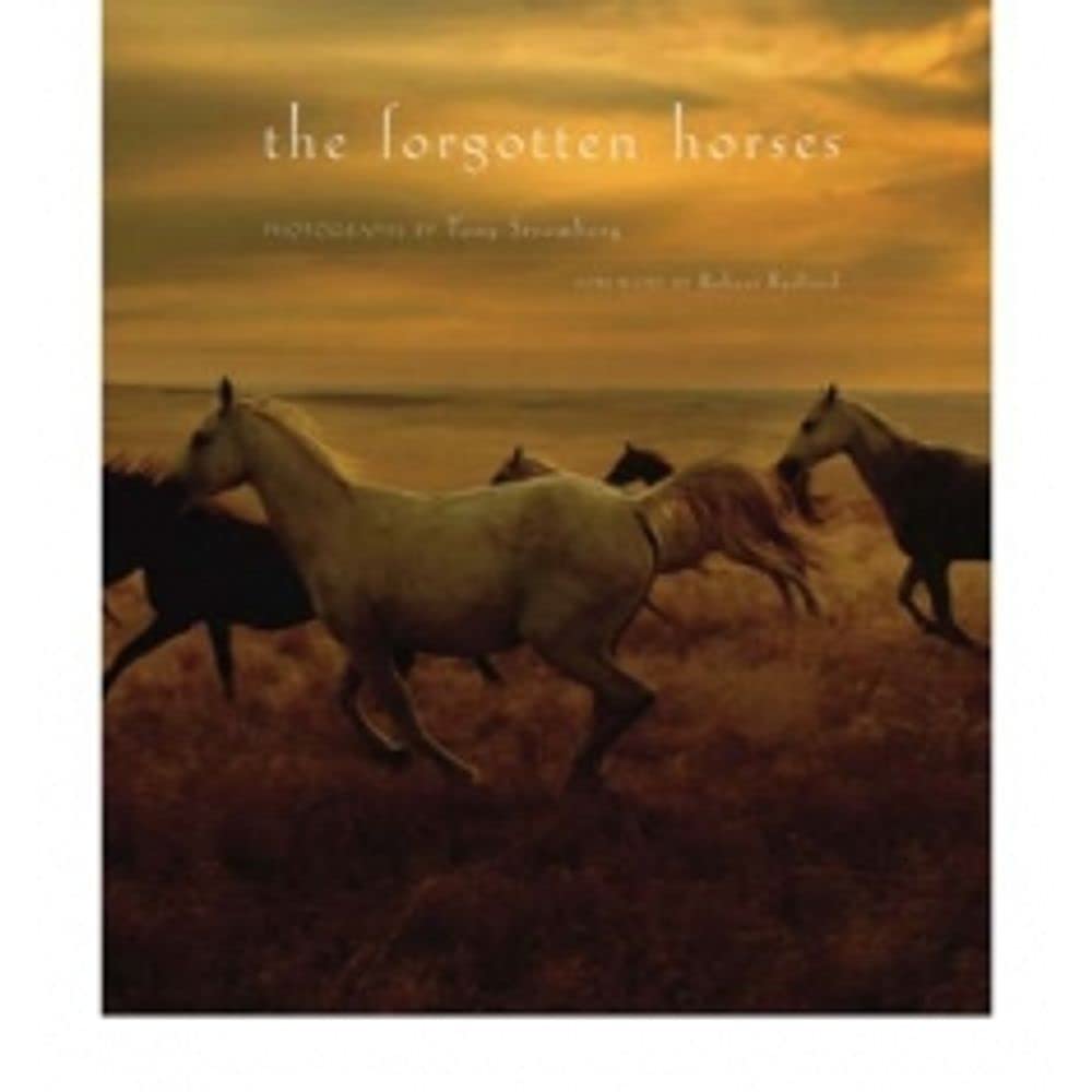 The Forgotten Horses