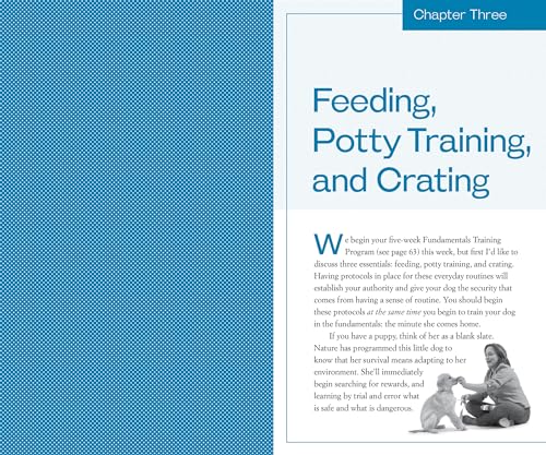 Training the Best Dog Ever: A 5-Week Program Using the Power of Positive Reinforcement