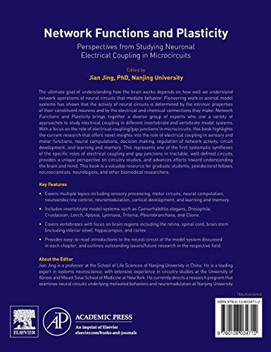 Network Functions and Plasticity: Perspectives from Studying Neuronal Electrical Coupling in Microcircuits