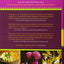 Authentic Mexican 20th Anniversary Ed: Regional Cooking from