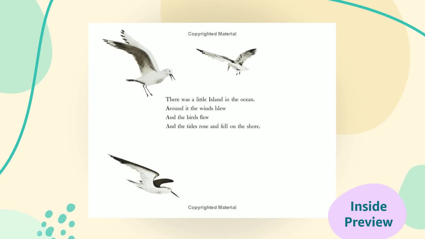 The Little Island: (Caldecott Medal Winner)