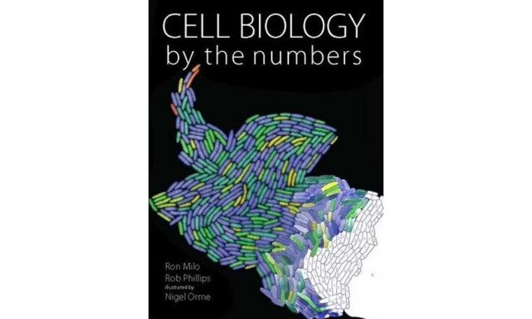 Cell Biology by the Numbers