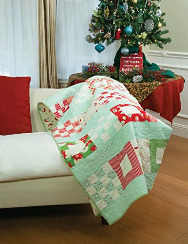 Jelly Filled-18 Quilts from 2 1/2'' Strips: All Skill Levels