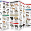 Mammals: A Folding Pocket Guide to Familiar North American Animals (Wildlife and Nature Identification)
