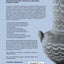 The Science and Archaeology of Materials: An Investigation of Inorganic Materials