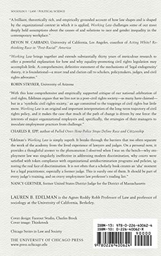 Working Law: Courts, Corporations, and Symbolic Civil Rights (Chicago Series in Law and Society)