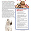 The American Kennel Club's Train Your Puppy Right (CompanionHouse Books) Welcoming Your New Pup, Socialization, House-Training, Puppy Lessons, Problem-Solving, Activities, and Sports