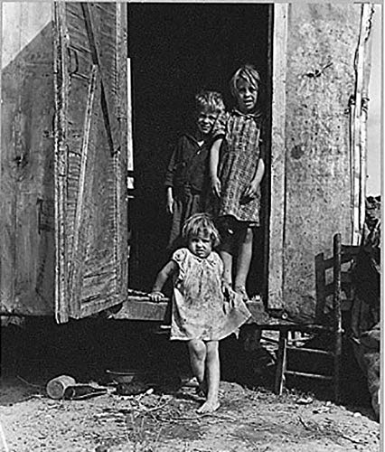 Learning to See: A Novel of Dorothea Lange, the Woman Who Revealed the Real America