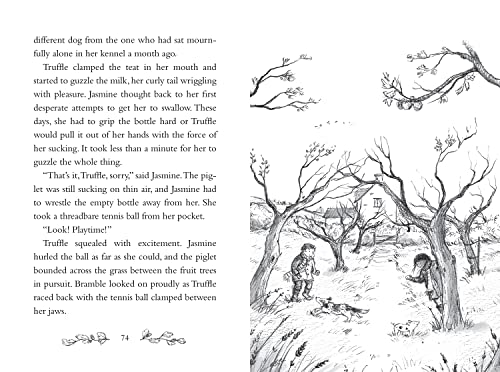 Jasmine Green Rescues: A Piglet Called Truffle