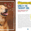 Smiley: A Journey of Love