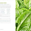 The Vegan Ketogenic Diet Cookbook: 75 Satisfying High Fat, Low Carb, Dairy Free Recipes