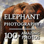 Elephant Picture Book - Elephant Photography: 100+ Amazing Pictures and Photos in this fantastic Elephant Photo Book (Elephant Photography Book and Elephant Picture Books)