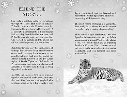 The Orphaned Tiger (Winter Journeys)