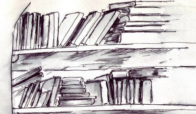 Wordless/Almost Wordless Picture Books: A Guide