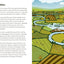 Rivers (Ladybird Books)