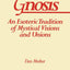 Gnosis: An Esoteric Tradition of Mystical Visions and Unions (Suny Series in Western Esoteric Traditions)