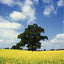 Uganda: The Land and Its People