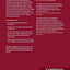Human Rights in International Relations (Themes in International Relations)