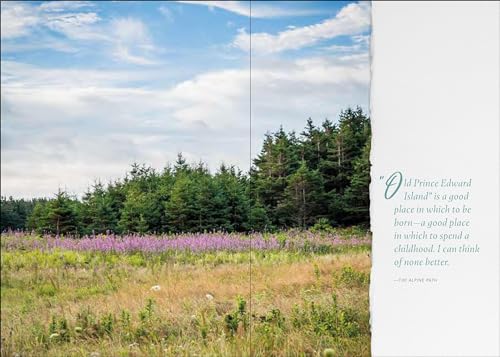 The Landscapes of Anne of Green Gables: The Enchanting Islan