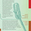 The Voice Over: Poems and Essays (Russian Library)