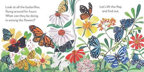 Pop-Up Peekaboo! Butterfly