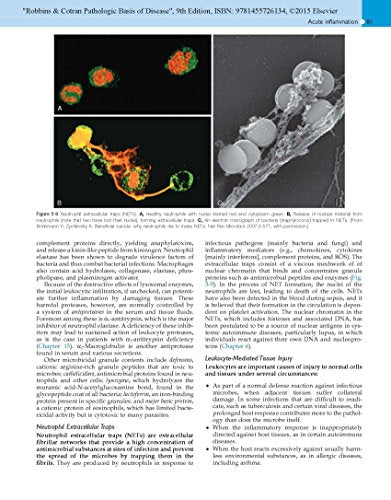 Robbins & Cotran Pathologic Basis of Disease (Robbins Pathology)