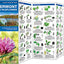 Vermont Trees & Wildflowers: A Folding Pocket Guide to Familiar Plants (Wildlife and Nature Identification)