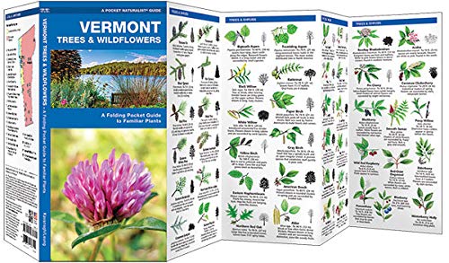 Vermont Trees & Wildflowers: A Folding Pocket Guide to Familiar Plants (Wildlife and Nature Identification)