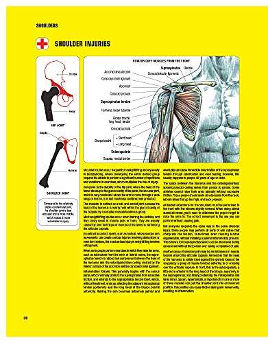 Strength Training Anatomy, 3rd Edition by Frederic Delavier