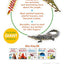 Ultimate Sticker Book: Jungle: More Than 250 Reusable Stickers