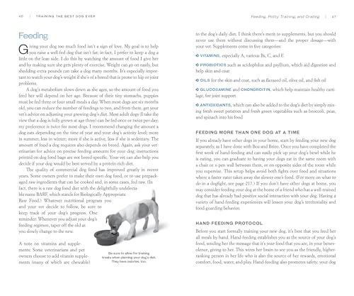 Training the Best Dog Ever: A 5-Week Program Using the Power of Positive Reinforcement