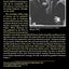 Testimony: The Memoirs of Dmitri Shostakovich (Limelight)