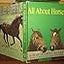 All About Horses