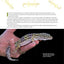 The Leopard Gecko Manual, 2nd Edition (CompanionHouse Books) Informative Guide to Care, Diet, Habitat, Breeding, Raising Hatchlings, Recognizing Diseases & Health Issues, Shedding, Tail Loss, and More