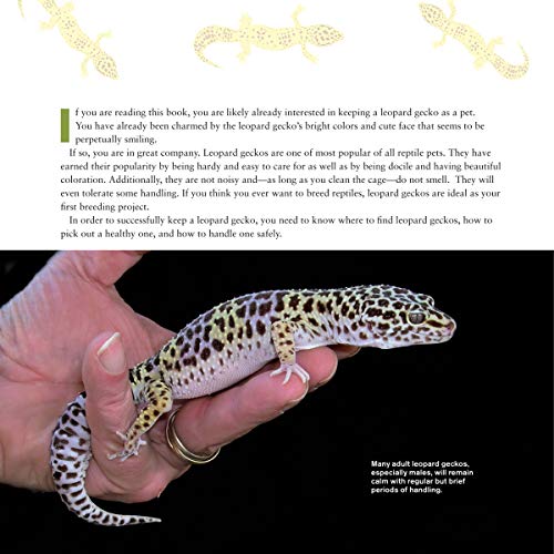 The Leopard Gecko Manual, 2nd Edition (CompanionHouse Books) Informative Guide to Care, Diet, Habitat, Breeding, Raising Hatchlings, Recognizing Diseases & Health Issues, Shedding, Tail Loss, and More