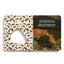 Home: A Peek-Through Board Book