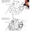 Learn to Draw Realistic Animals with Pen & Marker: From an Armadillo to a Zebra 26 Animals to Discover & Draw! (Design Originals) Step-by-Step Instructions for Elephants, Sloths, Cats, Dogs, and More
