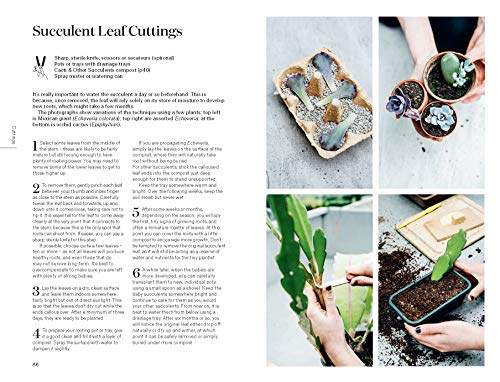 Root, Nurture, Grow: The Essential Guide to Propagating and Sharing Houseplants
