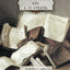 Commentary on Galatians