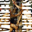 The Rise and Fall of Adam and Eve