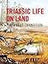 Triassic Life on Land: The Great Transition (The Critical Moments and Perspectives in Earth History and Paleobiology)