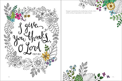 Gratitude: A Prayer and Praise Coloring Journal